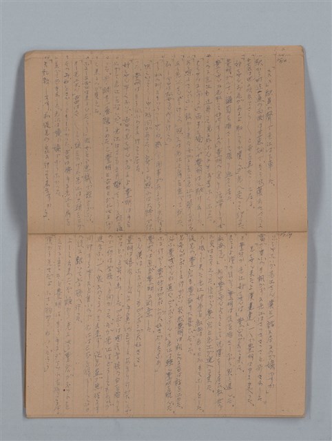 主要名稱：鳳凰木（上）（筆記簿）圖檔，第11張，共28張