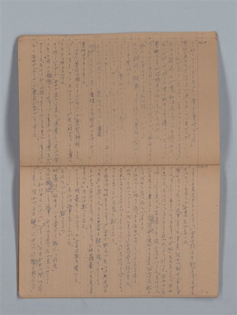 主要名稱：鳳凰木（上）（筆記簿）圖檔，第12張，共28張