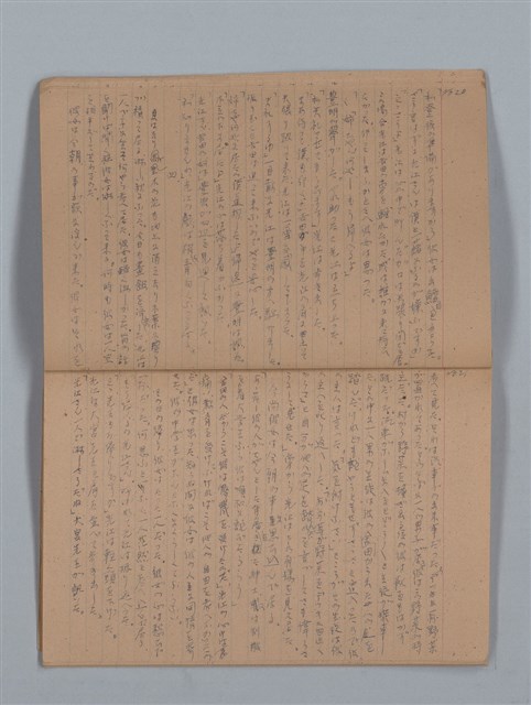 主要名稱：鳳凰木（上）（筆記簿）圖檔，第13張，共28張