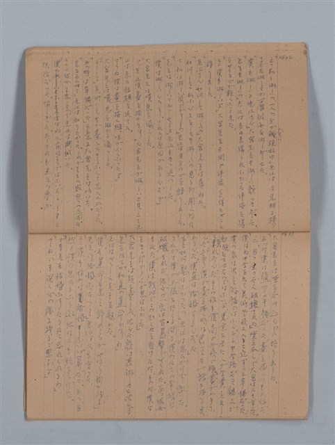 主要名稱：鳳凰木（上）（筆記簿）圖檔，第14張，共28張