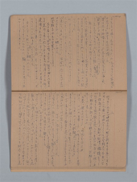 主要名稱：鳳凰木（上）（筆記簿）圖檔，第15張，共28張
