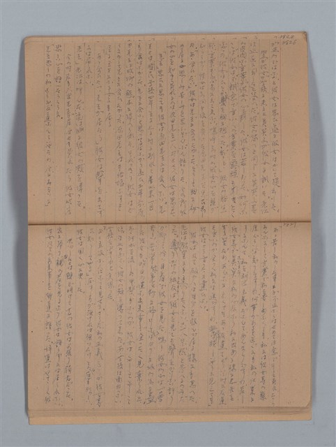 主要名稱：鳳凰木（上）（筆記簿）圖檔，第16張，共28張