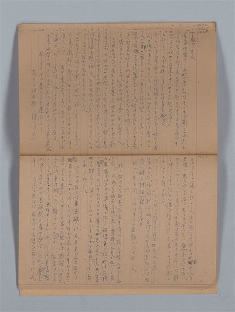 主要名稱：鳳凰木（上）（筆記簿）圖檔，第17張，共28張