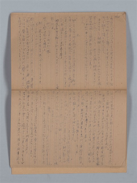 主要名稱：鳳凰木（上）（筆記簿）圖檔，第22張，共28張
