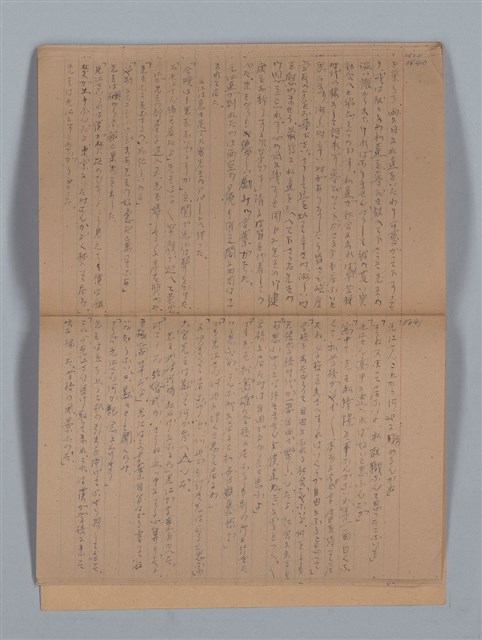 主要名稱：鳳凰木（上）（筆記簿）圖檔，第23張，共28張
