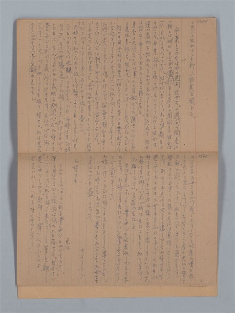 主要名稱：鳳凰木（上）（筆記簿）圖檔，第25張，共28張