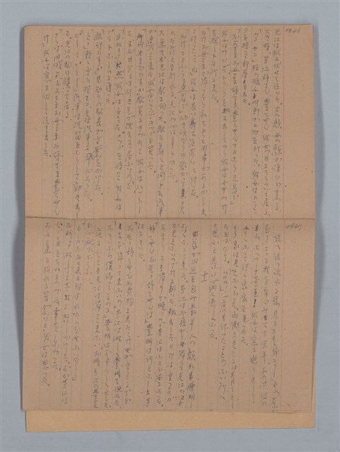 主要名稱：鳳凰木（上）（筆記簿）圖檔，第26張，共28張