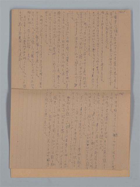 主要名稱：鳳凰木（上）（筆記簿）圖檔，第27張，共28張