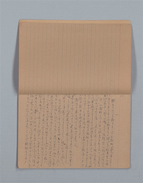 主要名稱：鳳凰木（下）（筆記簿）圖檔，第3張，共31張