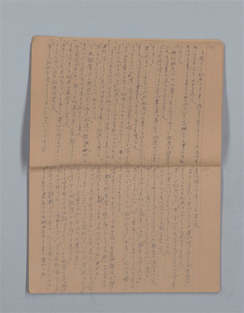 主要名稱：鳳凰木（下）（筆記簿）圖檔，第5張，共31張