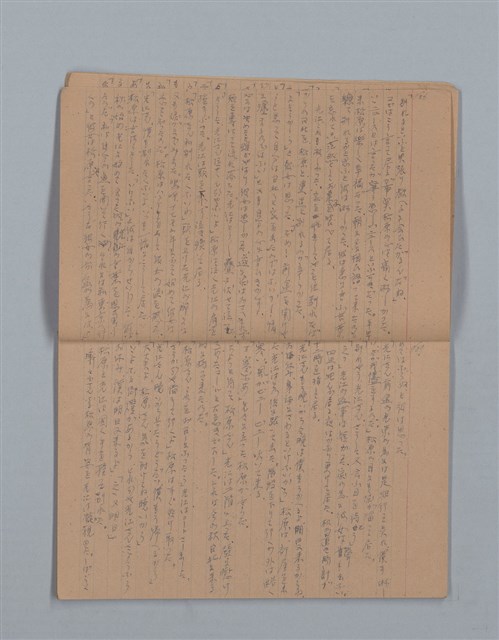 主要名稱：鳳凰木（下）（筆記簿）圖檔，第6張，共31張