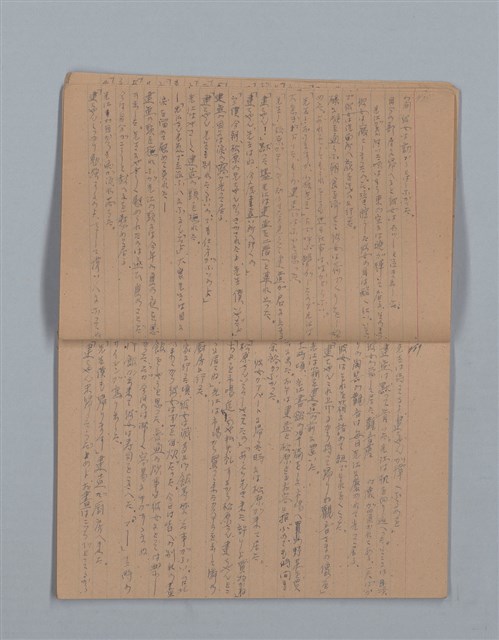 主要名稱：鳳凰木（下）（筆記簿）圖檔，第7張，共31張