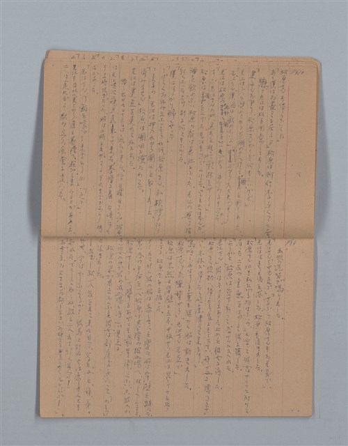 主要名稱：鳳凰木（下）（筆記簿）圖檔，第8張，共31張