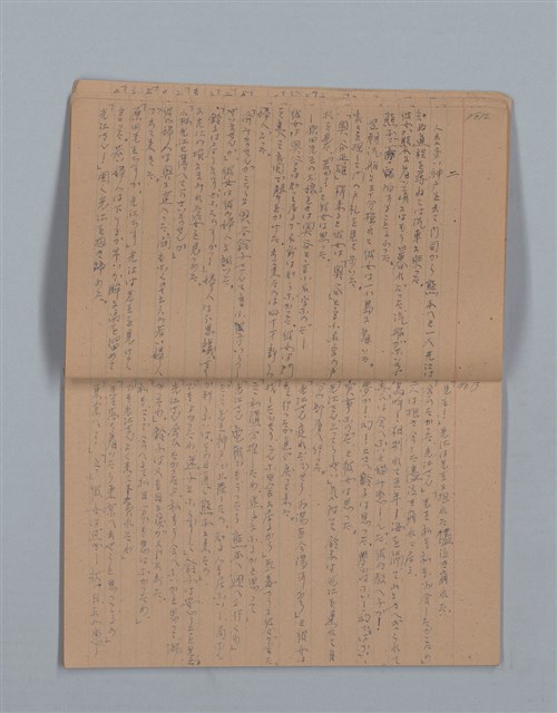主要名稱：鳳凰木（下）（筆記簿）圖檔，第9張，共31張