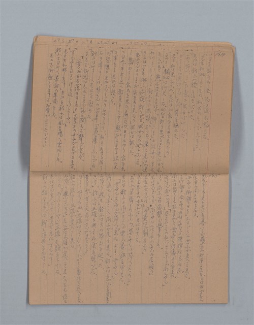 主要名稱：鳳凰木（下）（筆記簿）圖檔，第10張，共31張