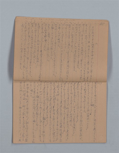 主要名稱：鳳凰木（下）（筆記簿）圖檔，第11張，共31張