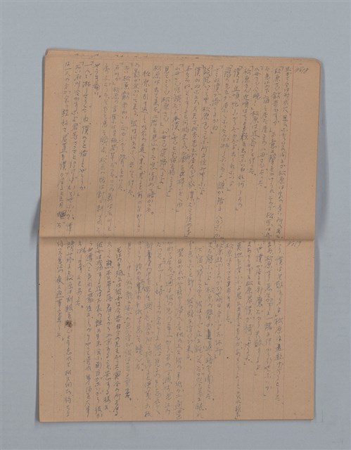 主要名稱：鳳凰木（下）（筆記簿）圖檔，第12張，共31張