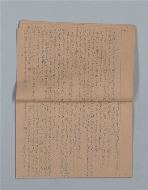 主要名稱：鳳凰木（下）（筆記簿）圖檔，第13張，共31張