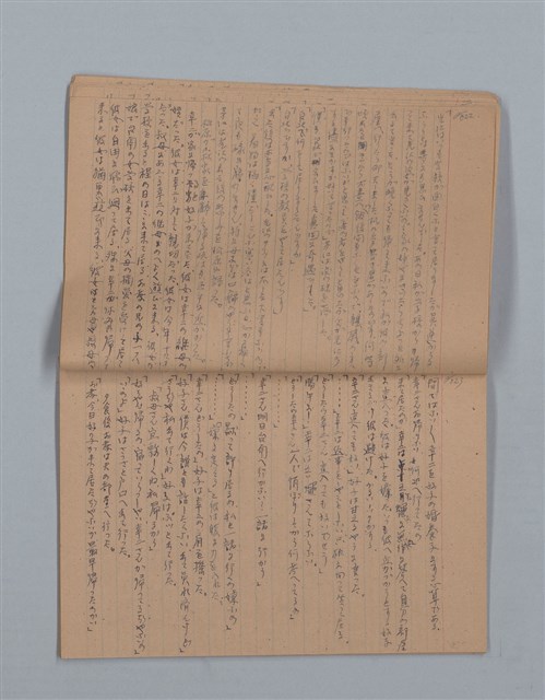 主要名稱：鳳凰木（下）（筆記簿）圖檔，第14張，共31張