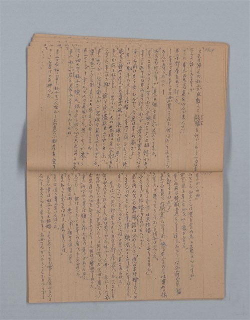 主要名稱：鳳凰木（下）（筆記簿）圖檔，第15張，共31張