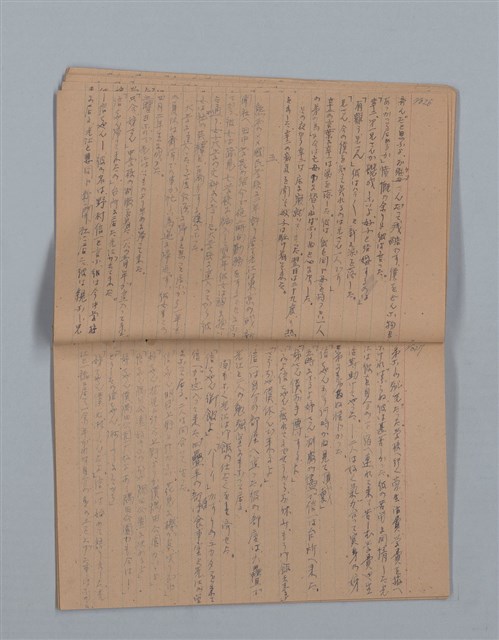 主要名稱：鳳凰木（下）（筆記簿）圖檔，第16張，共31張