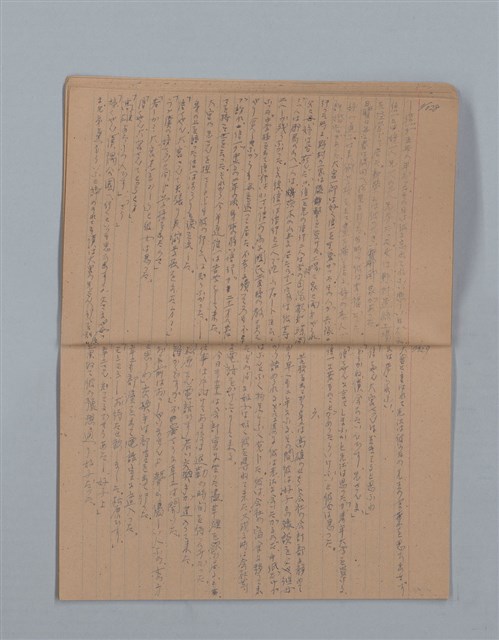主要名稱：鳳凰木（下）（筆記簿）圖檔，第17張，共31張