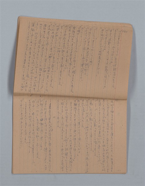 主要名稱：鳳凰木（下）（筆記簿）圖檔，第18張，共31張