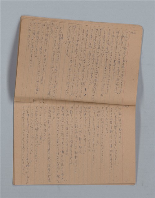 主要名稱：鳳凰木（下）（筆記簿）圖檔，第19張，共31張