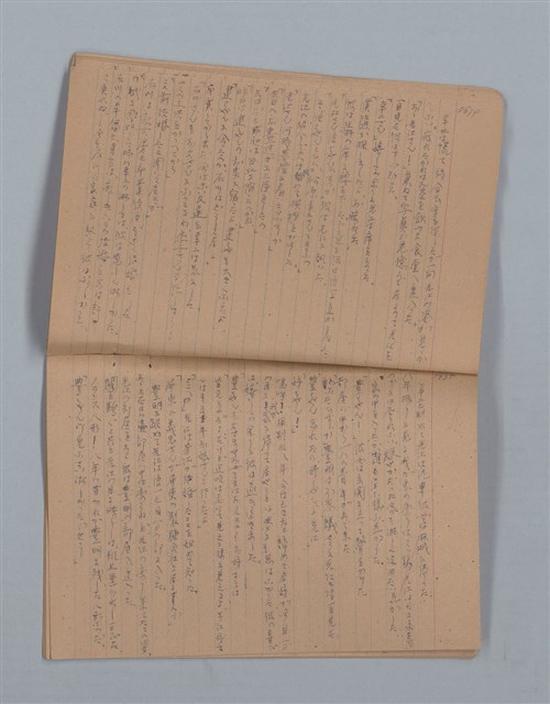 主要名稱：鳳凰木（下）（筆記簿）圖檔，第20張，共31張