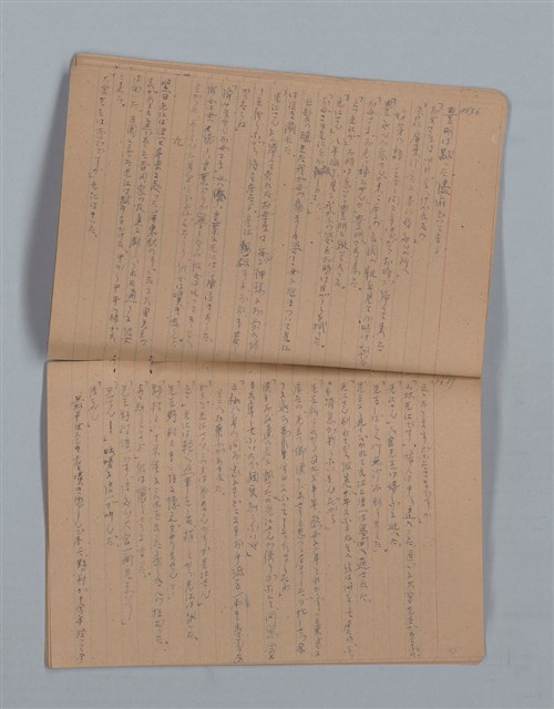 主要名稱：鳳凰木（下）（筆記簿）圖檔，第21張，共31張