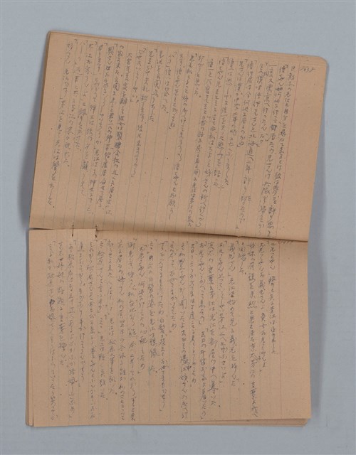 主要名稱：鳳凰木（下）（筆記簿）圖檔，第22張，共31張