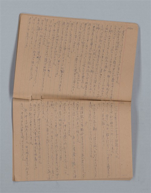 主要名稱：鳳凰木（下）（筆記簿）圖檔，第23張，共31張