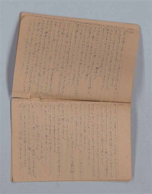 主要名稱：鳳凰木（下）（筆記簿）圖檔，第24張，共31張