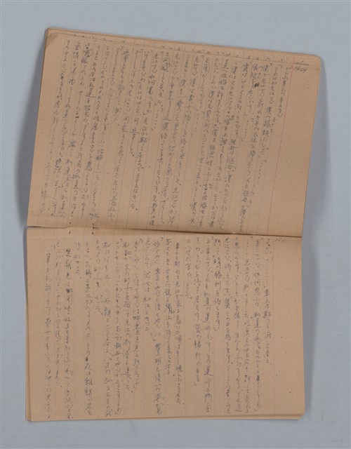 主要名稱：鳳凰木（下）（筆記簿）圖檔，第25張，共31張