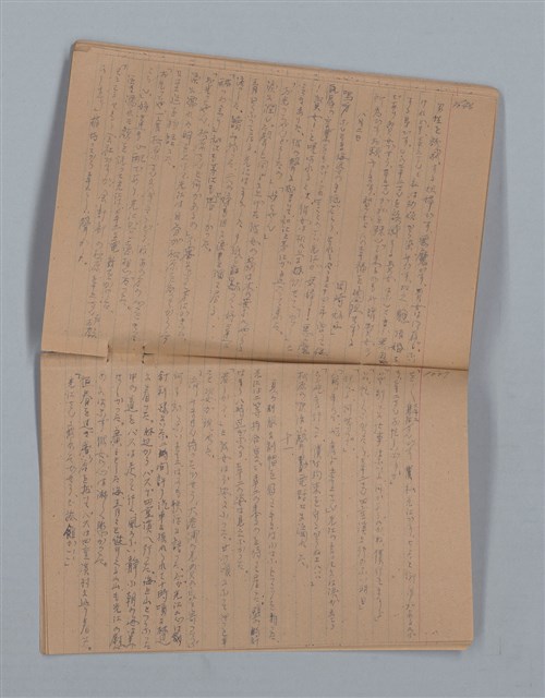 主要名稱：鳳凰木（下）（筆記簿）圖檔，第26張，共31張