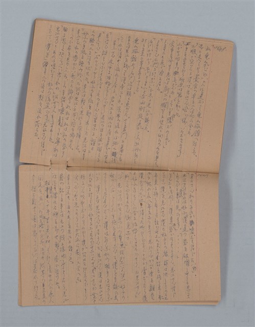 主要名稱：鳳凰木（下）（筆記簿）圖檔，第27張，共31張