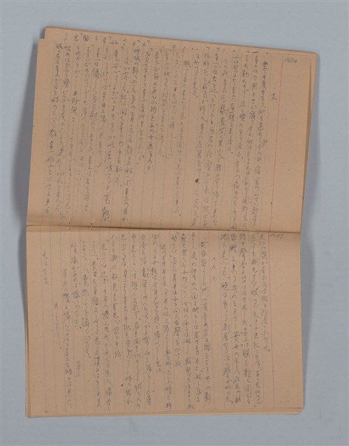 主要名稱：鳳凰木（下）（筆記簿）圖檔，第28張，共31張