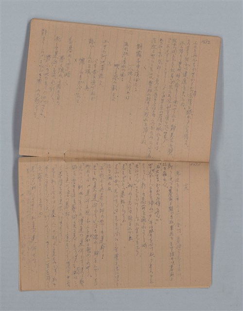 主要名稱：鳳凰木（下）（筆記簿）圖檔，第29張，共31張