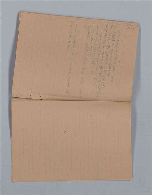 主要名稱：鳳凰木（下）（筆記簿）圖檔，第30張，共31張