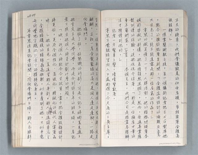 主要名稱：牡丹鳥 第二章圖檔，第33張，共73張