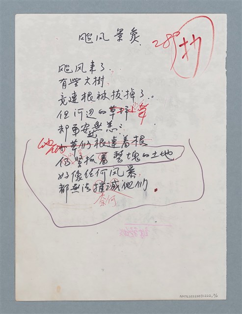 主要名稱：胎兒歌（初稿）；颱風景象（初稿）圖檔，第2張，共2張