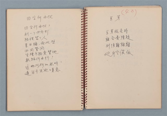 主要名稱：小數點等詩作手稿（筆記本）圖檔，第25張，共41張