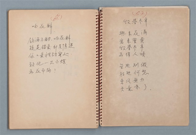 主要名稱：小數點等詩作手稿（筆記本）圖檔，第39張，共41張