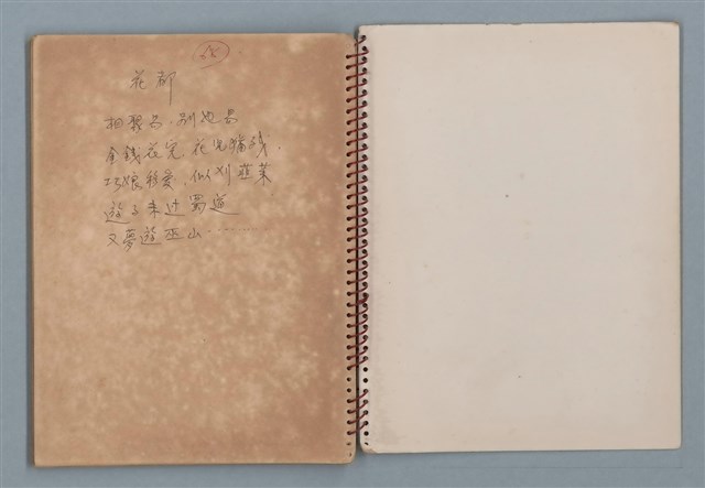主要名稱：小數點等詩作手稿（筆記本）圖檔，第40張，共41張