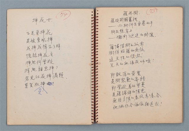 主要名稱：陳圓圓題詩、雙曲線等詩作手稿（筆記本）圖檔，第5張，共41張
