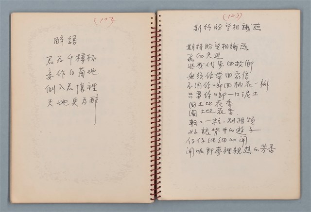 主要名稱：陳圓圓題詩、雙曲線等詩作手稿（筆記本）圖檔，第23張，共41張