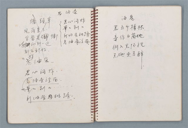 主要名稱：潛水艇等詩作手稿（筆記本）圖檔，第14張，共38張