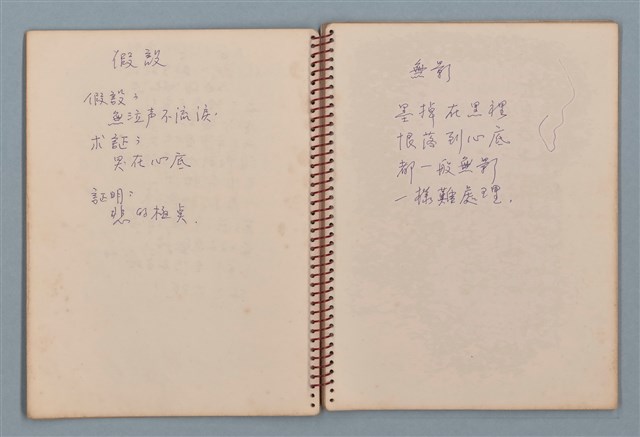 主要名稱：空門聯立方程式等詩作手稿（筆記本）圖檔，第13張，共41張