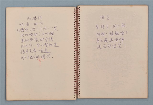 主要名稱：空門聯立方程式等詩作手稿（筆記本）圖檔，第17張，共41張