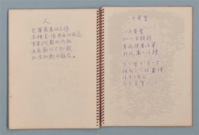 主要名稱：空門聯立方程式等詩作手稿（筆記本）圖檔，第19張，共41張